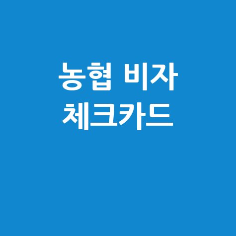 농협 비자 체크카드, 혜택부터 발급까지 완벽 가이드