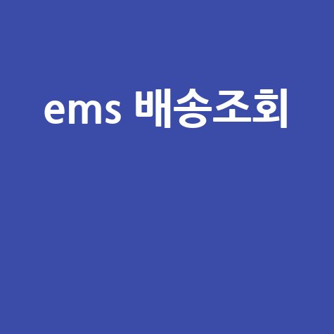 EMS 배송조회: 우체국 택배 조회부터 통관 조회까지 완벽 정리