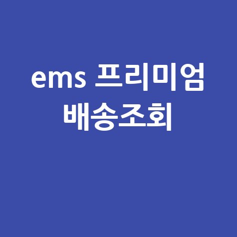 EMS 프리미엄 배송조회: 우체국 국제특송 통관조회 방법