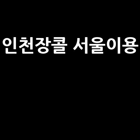 인천 장애인콜택시 서울 이용 방법 완벽 가이드