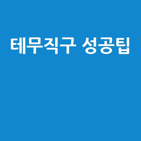 테무 쇼핑몰 직구 성공하는 방법