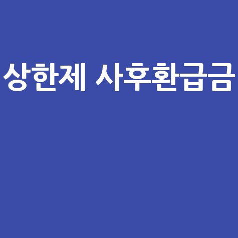 상한제 사후환급금: 뜻과 조회 방법 완벽 정리