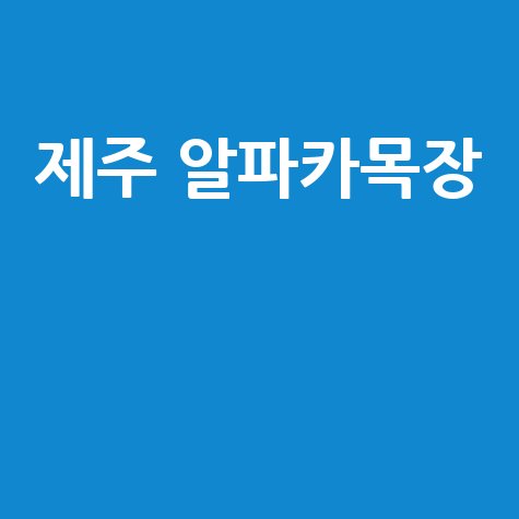 제주 알파카목장 제주도 가볼만한곳