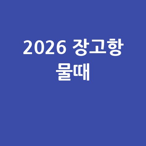 2026 장고항 물때 시간표 및 예보