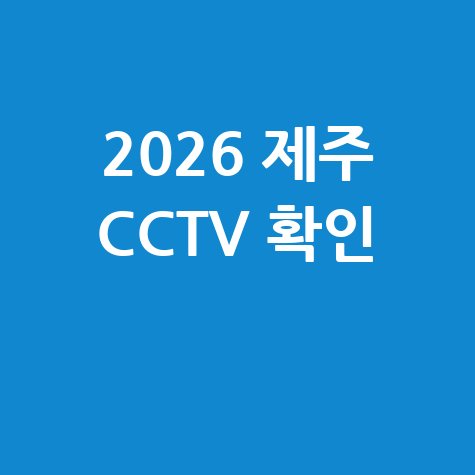 2026 제주 도로 CCTV 실시간 상황 확인법