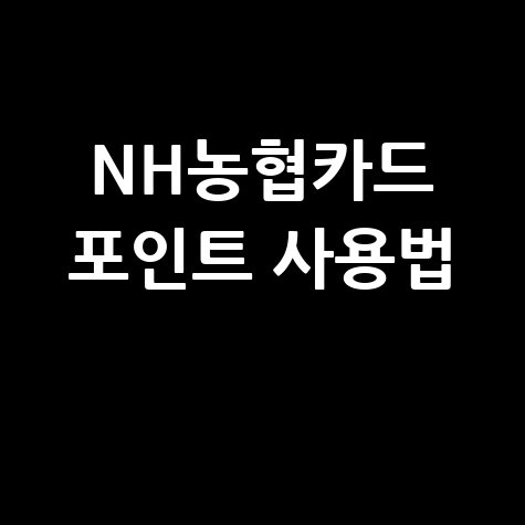 2026 NH농협카드 포인트 사용 및 입금 방법 정리