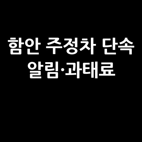 함안군 주정차단속 알림 신청, 과태료 조회 및 납부 방법