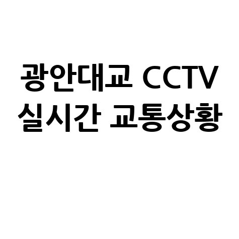부산 광안대교 실시간 교통상황 CCTV 교통혼잡도 확인하기